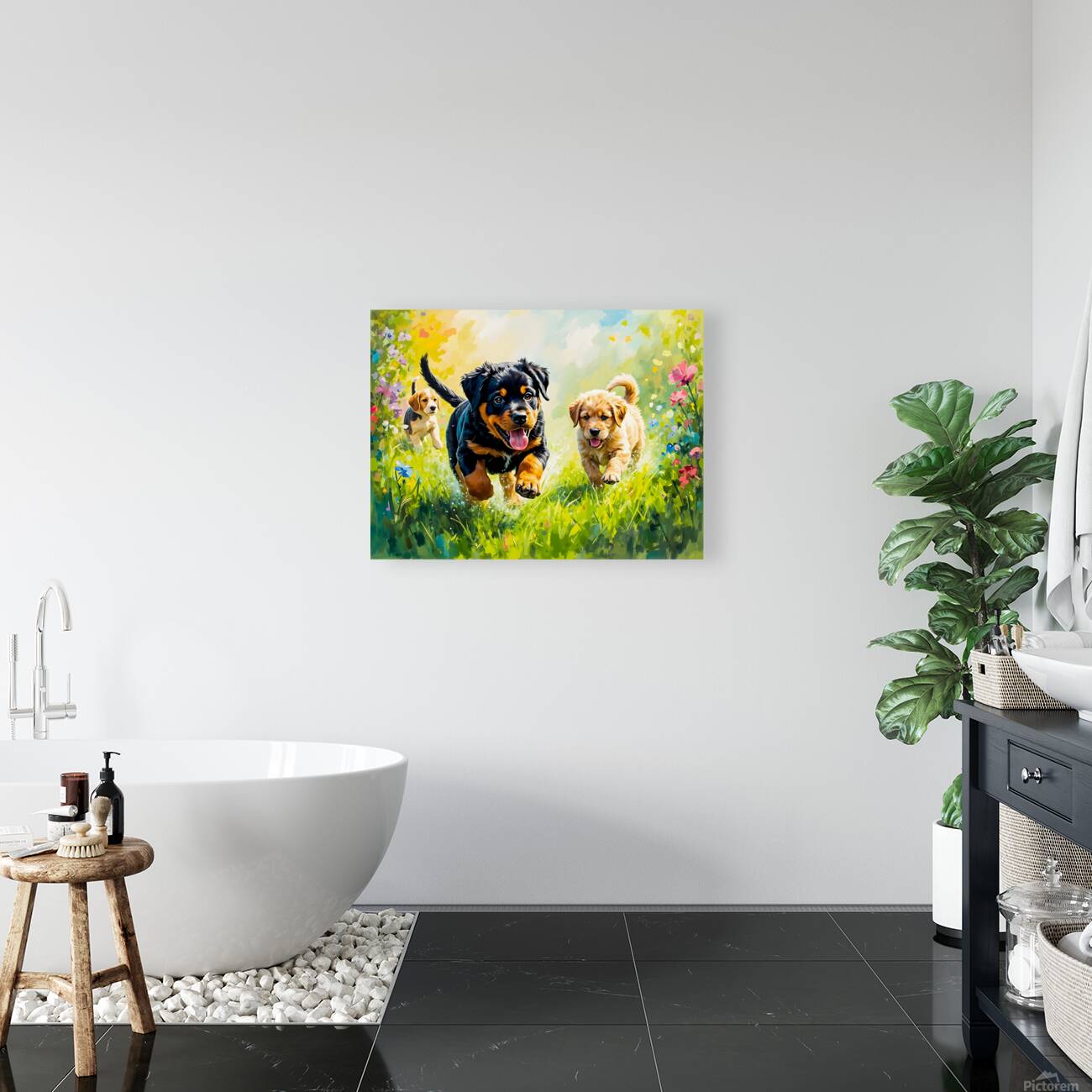 Rottweiler Puppy Ready To Play With Siblings Reproduction