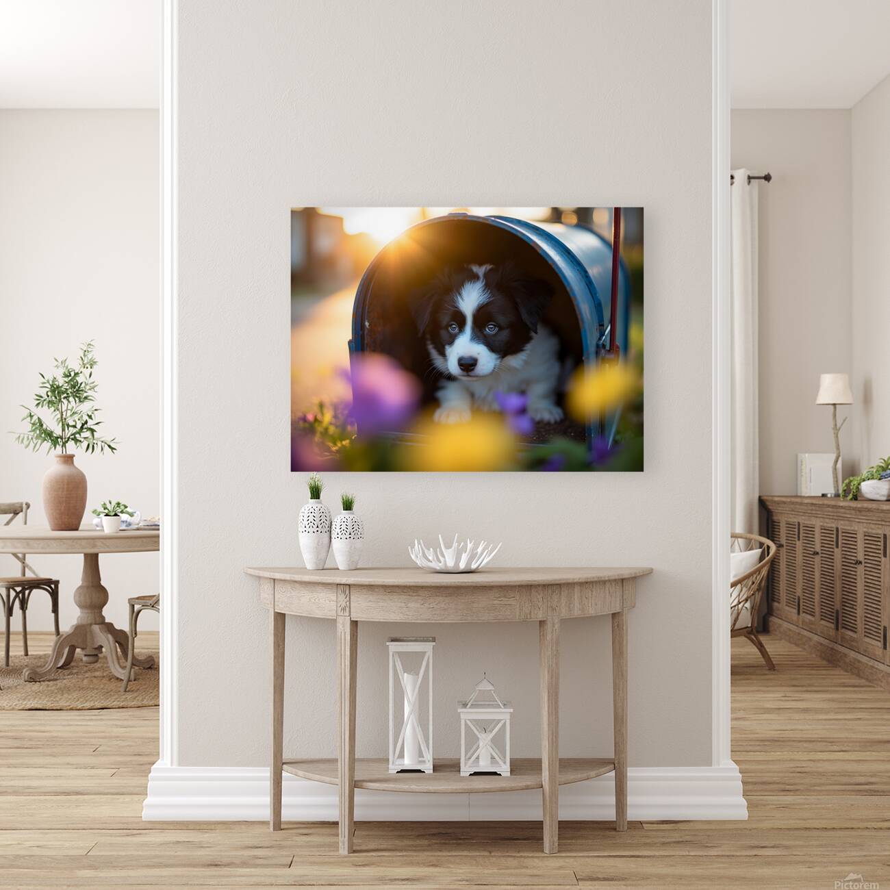 Border Collie Puppy Discovers Perfect Hiding Spot Reproduction