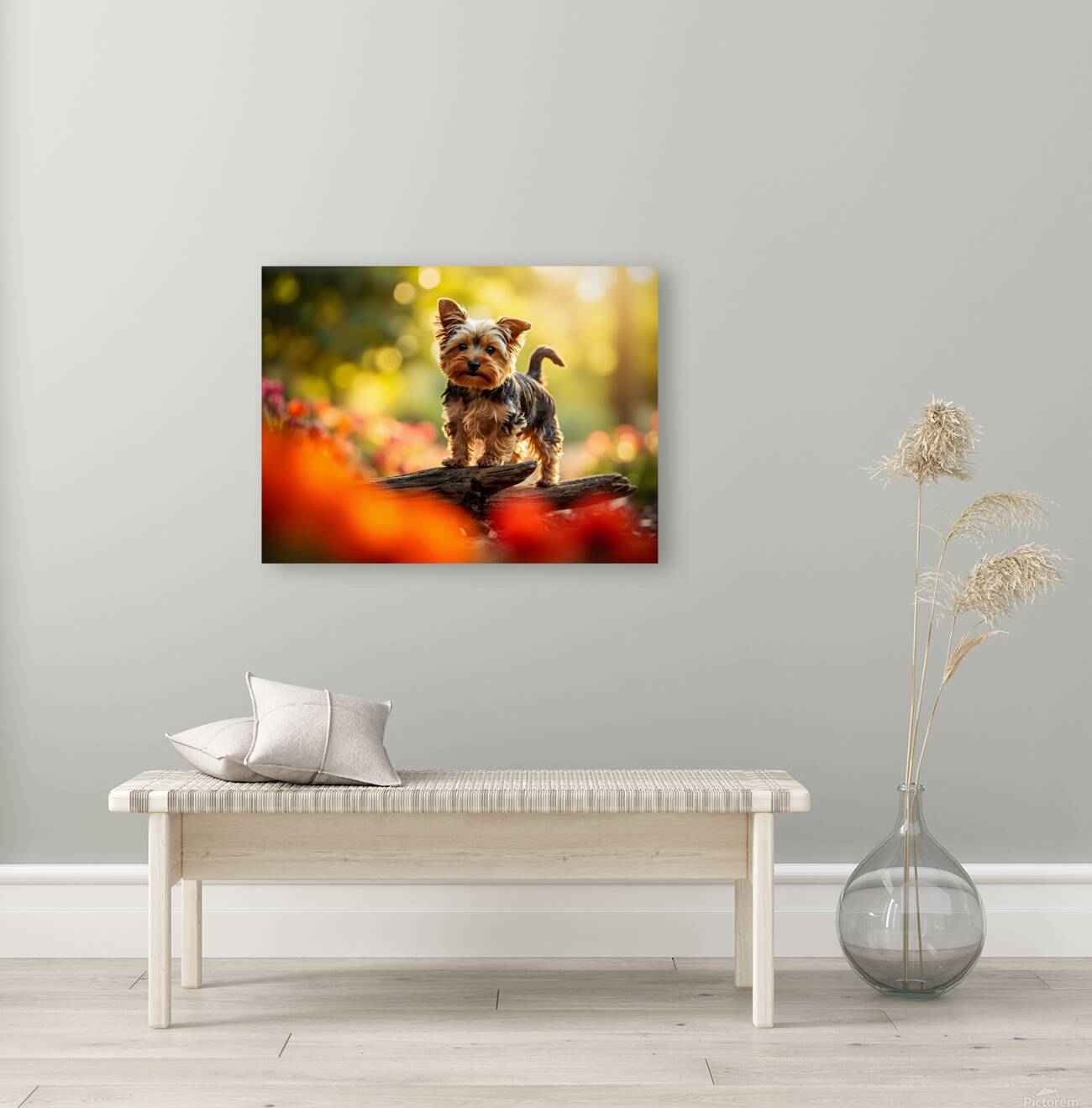 Yorkshire Terrier Puppy Naps After Stick Adventure Reproduction