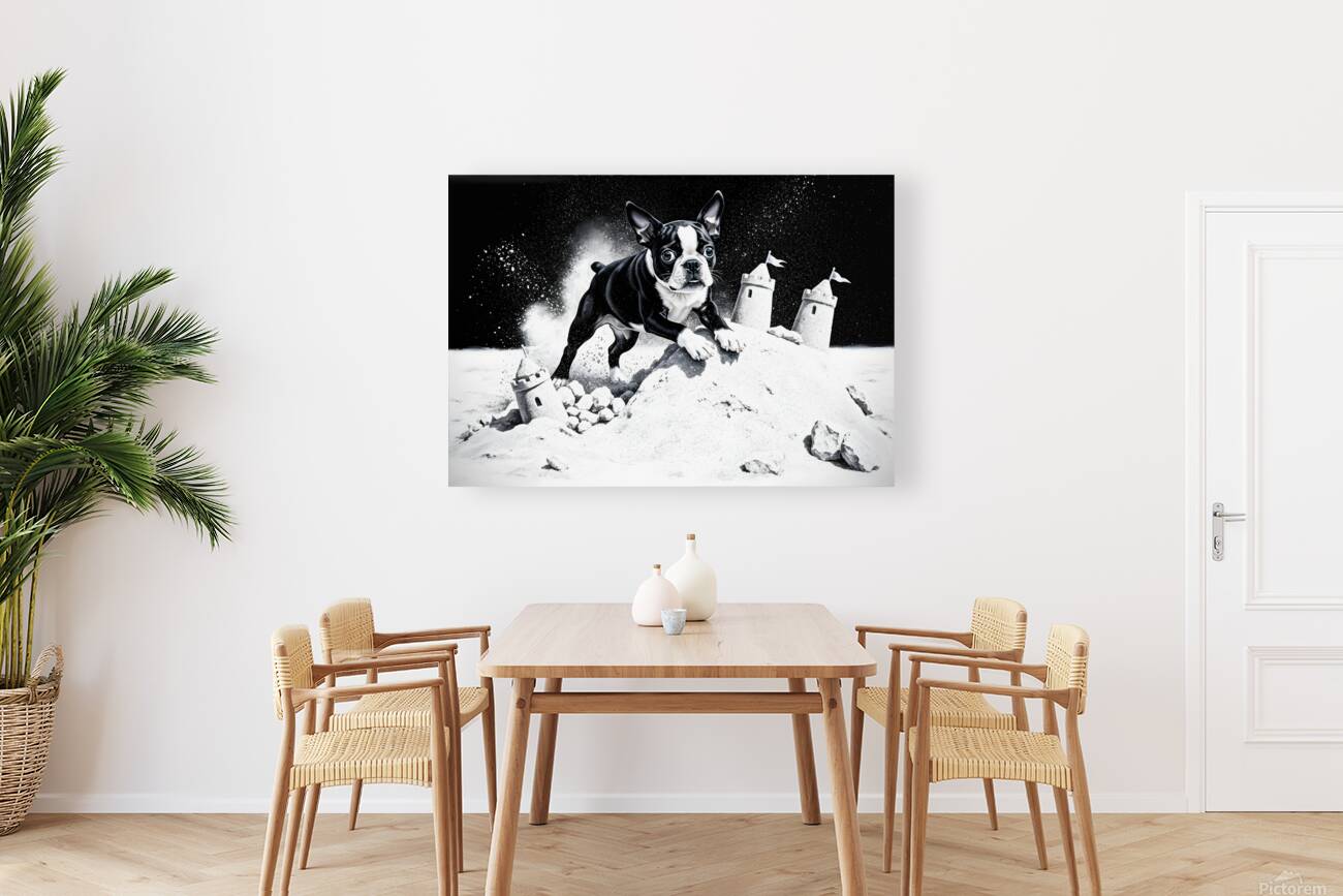 Boston Terrier Puppy Happy Despite Sandy Mess Reproduction