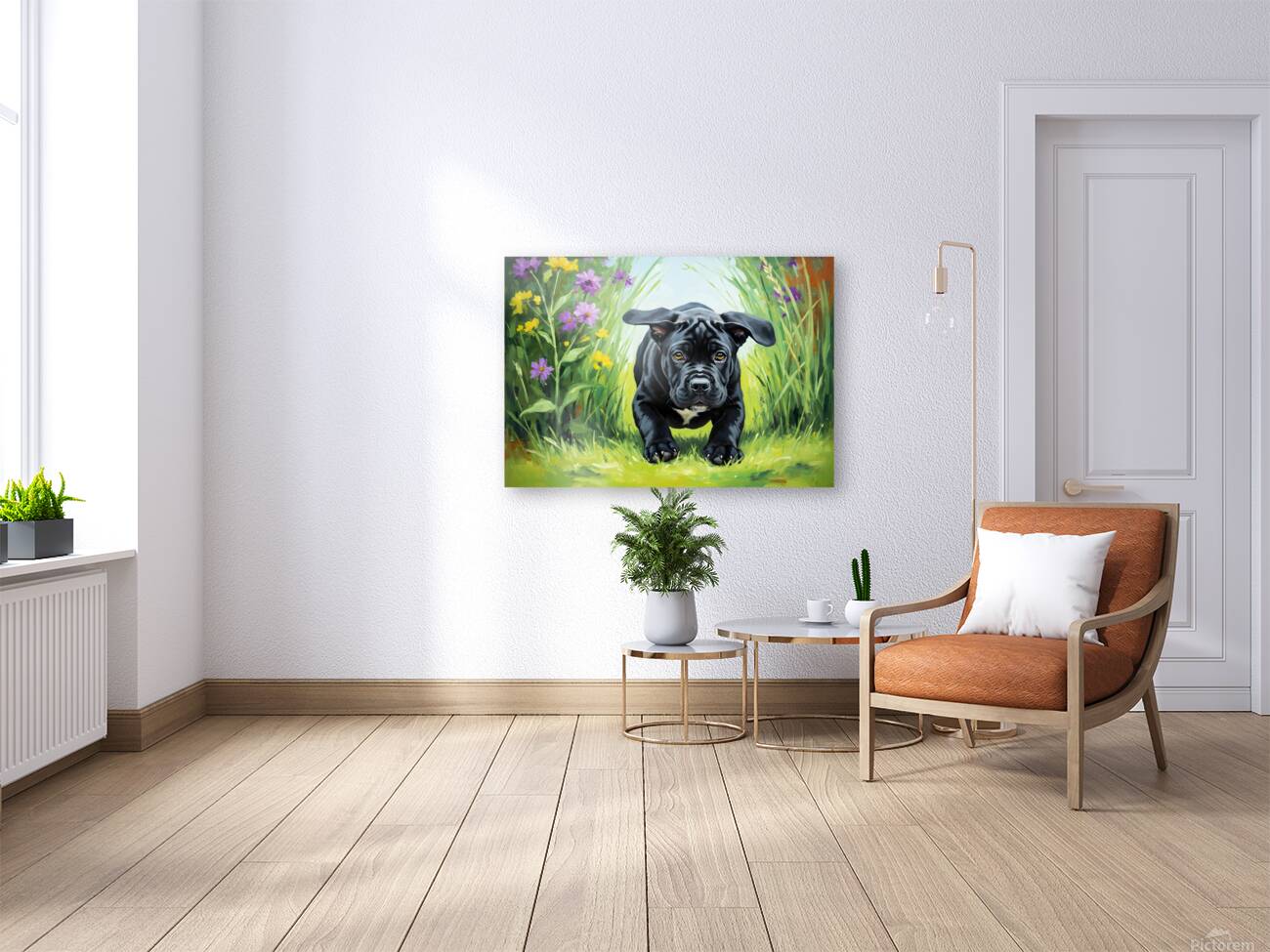 Cane Corso Puppys First Big Jump Reproduction