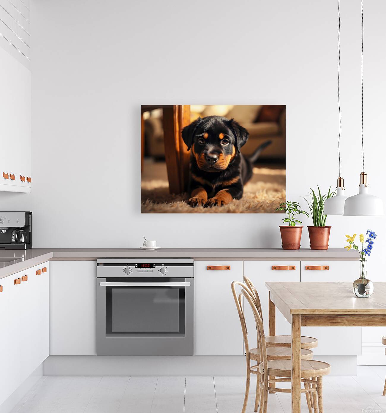 Rottweiler Puppy Joins The Family Fun Reproduction