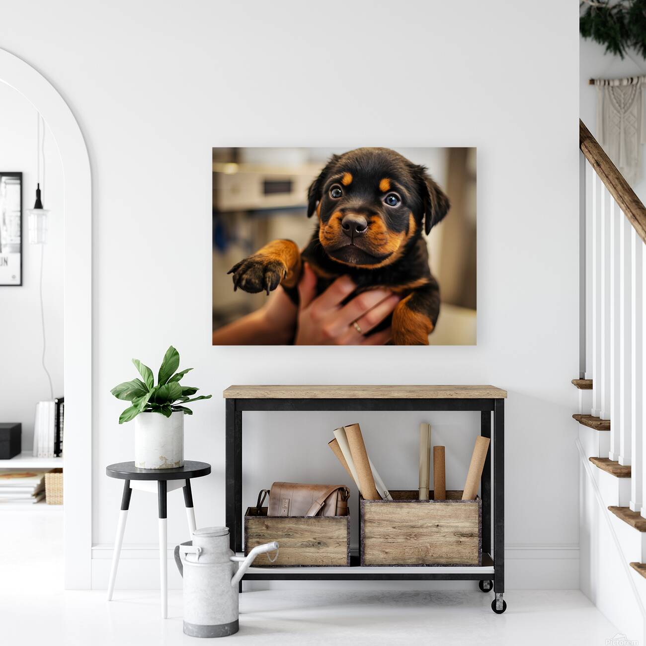 Rottweiler Puppys First Vet Visit Reproduction