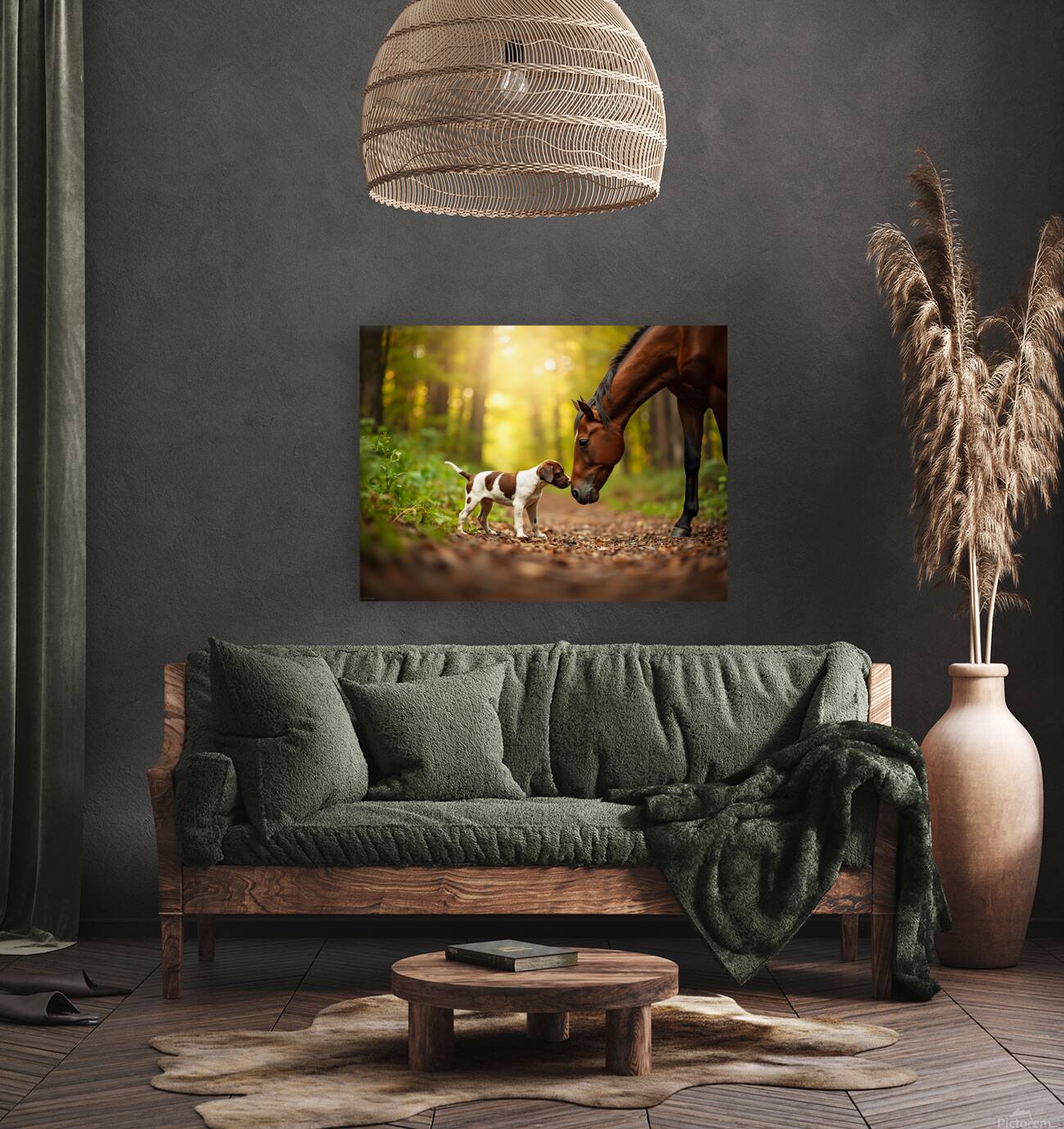 German Shorthaired Pointer Puppy Befriends Trail Horse Reproduction