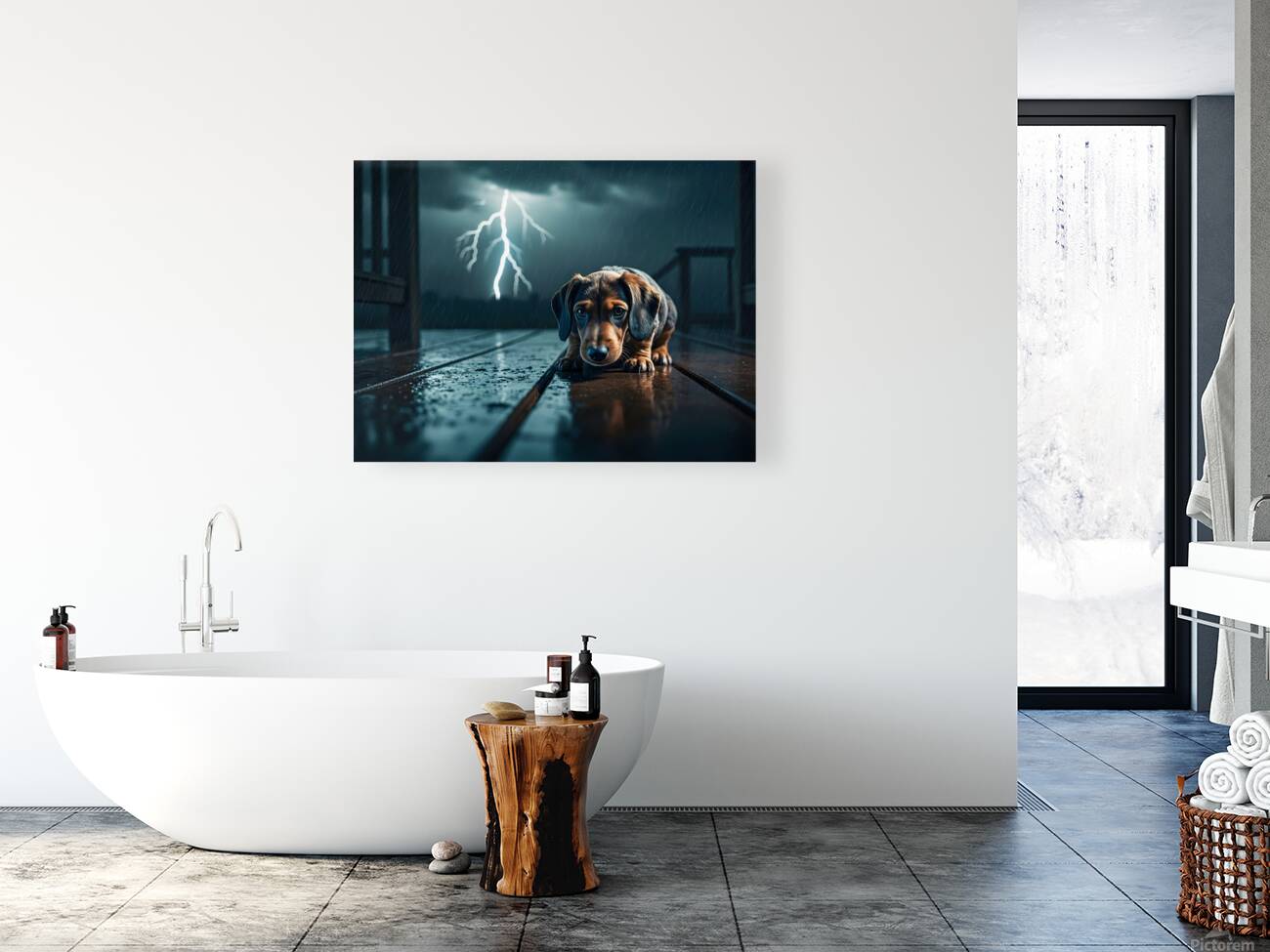 Dachshund Puppy Watches Storm From Covered Porch Reproduction