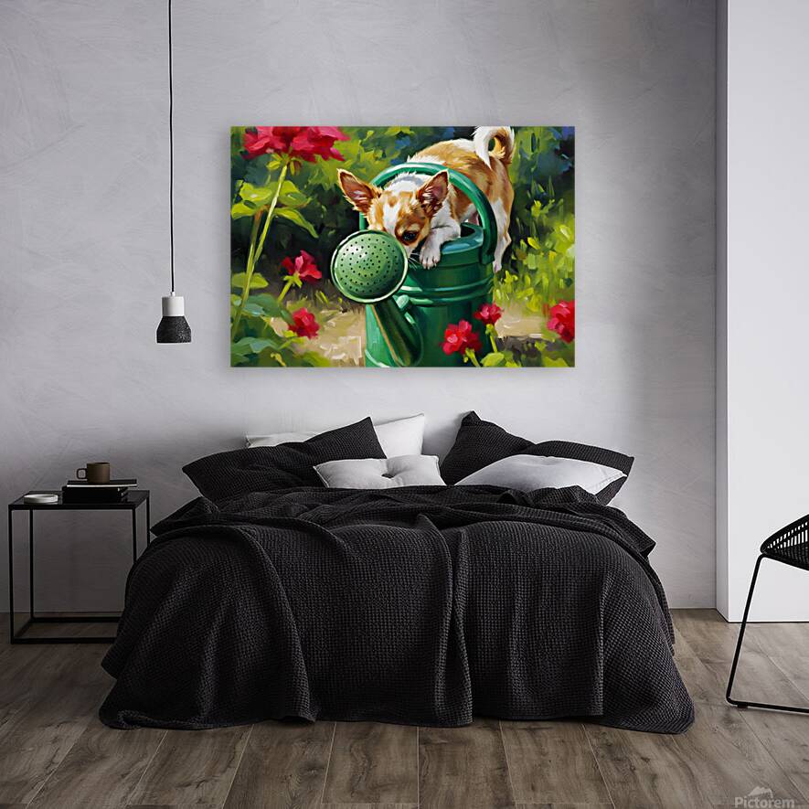 Wet Chihuahua Puppy After Watering Can Adventure Reproduction