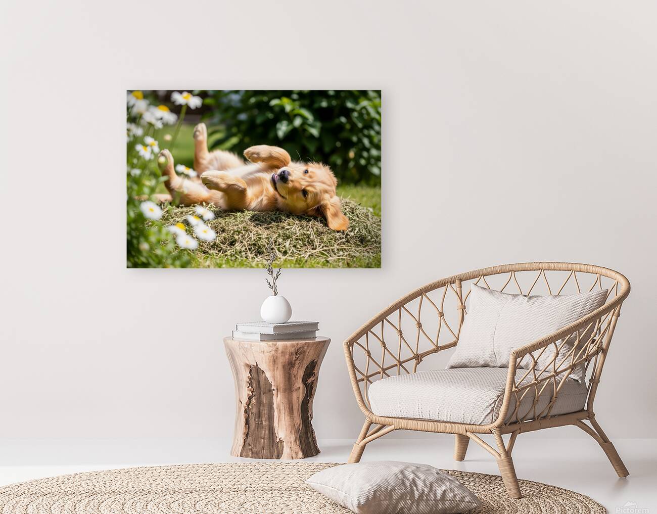 Herby Golden Puppy After Rolling Session Reproduction