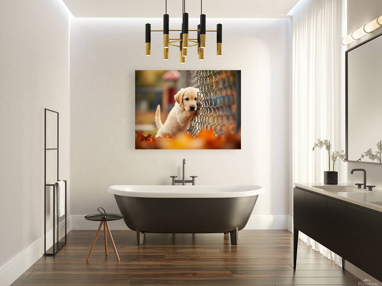 Puppy Waits Eagerly At School Gate For Children Reproduction