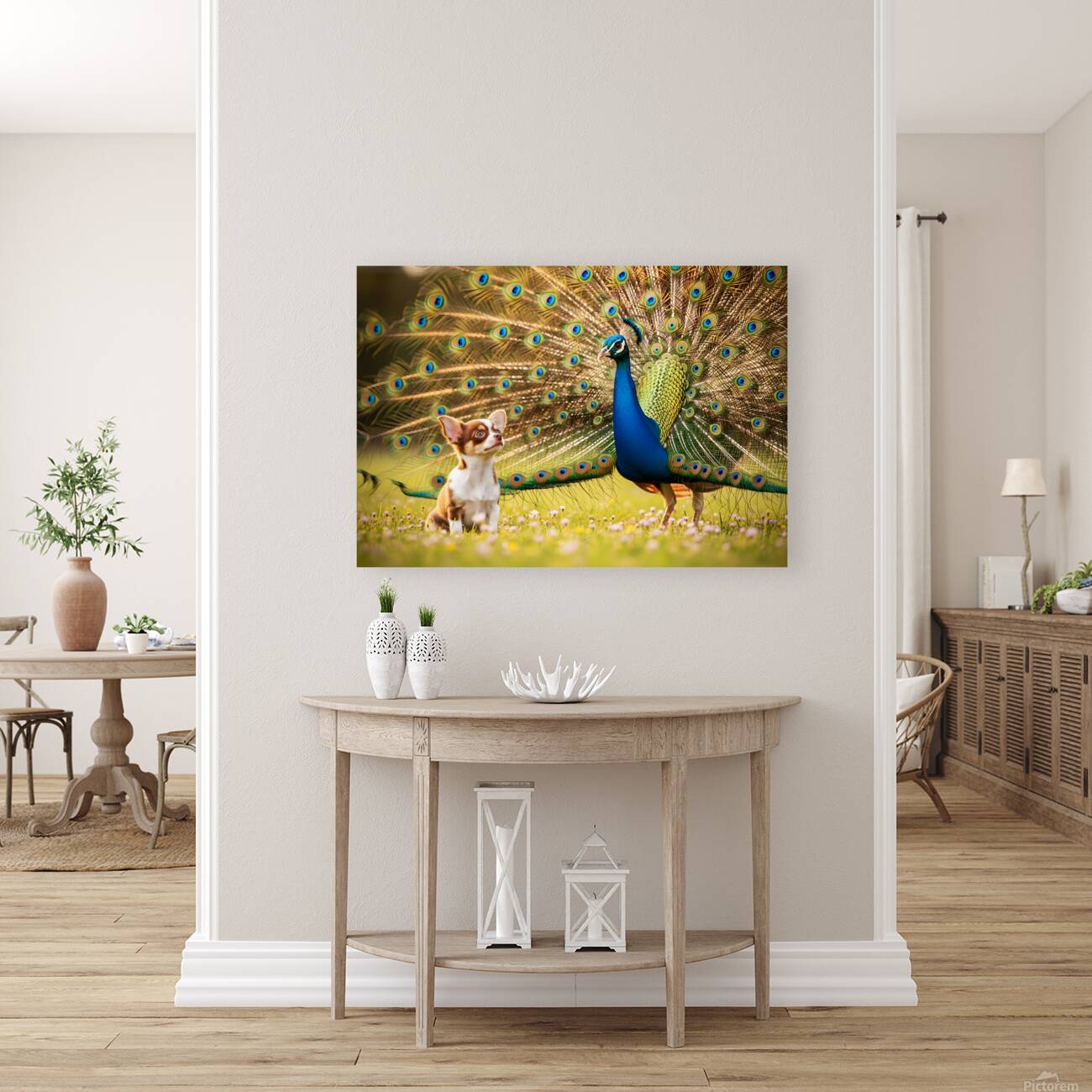 Chihuahua Puppy Tries To Copy Peacocks Elegance Reproduction