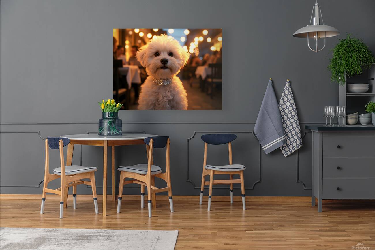 Bichon Frise Puppy Rests After Fun Evening Reproduction