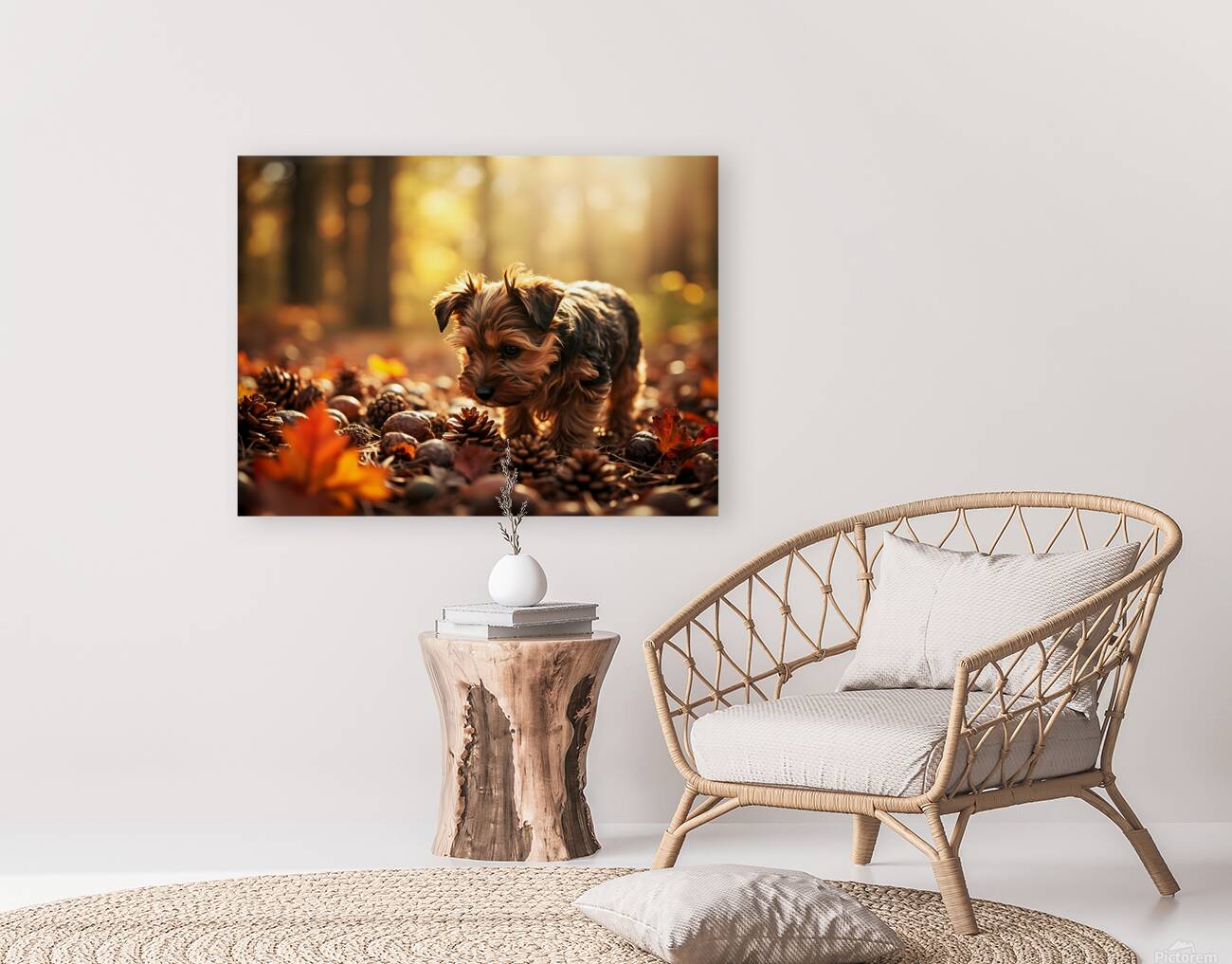 Yorkshire Terrier Puppy Discovers Cinnamon Sticks Reproduction