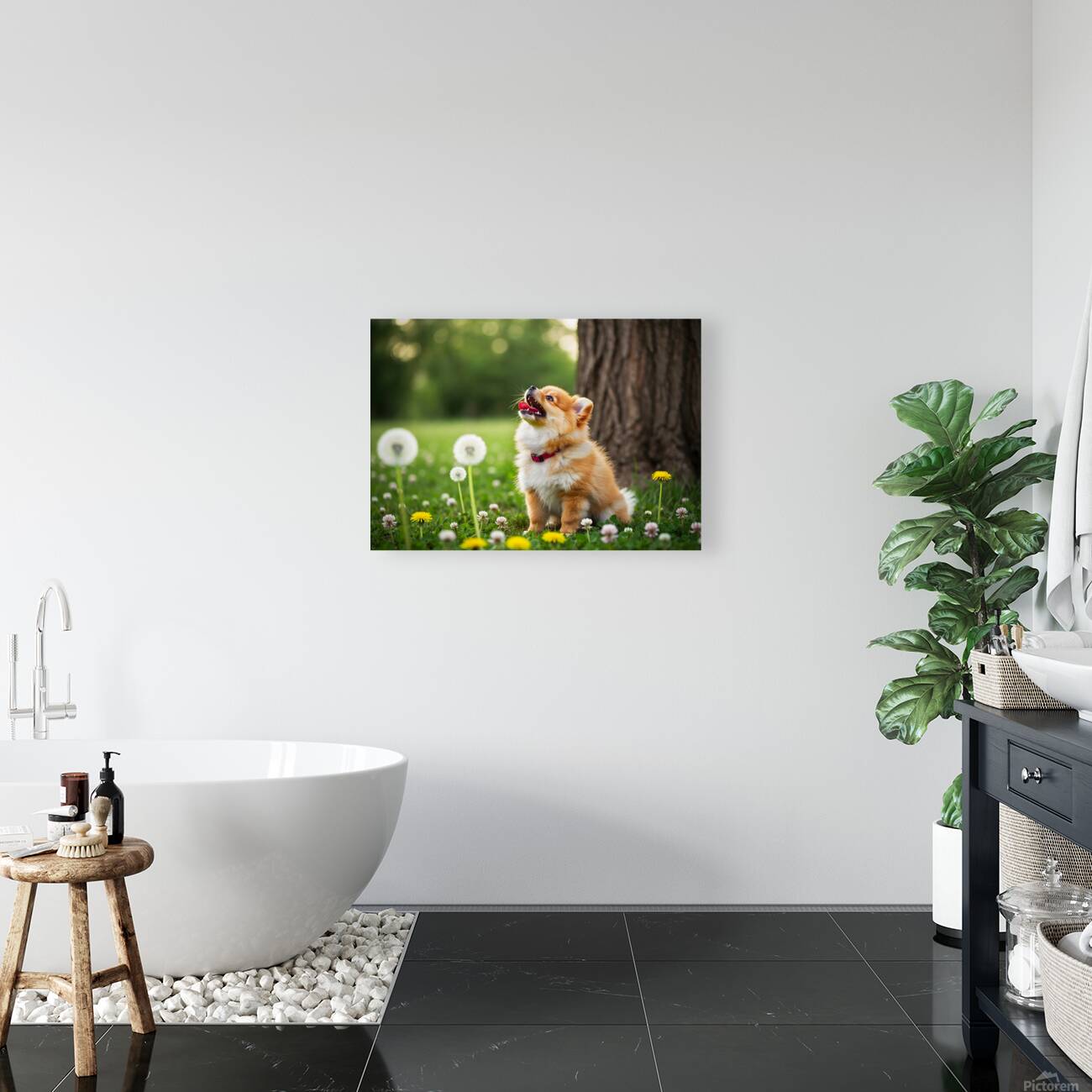 Playful Pomeranian Puppy Finds New Fun Around The Tree Reproduction