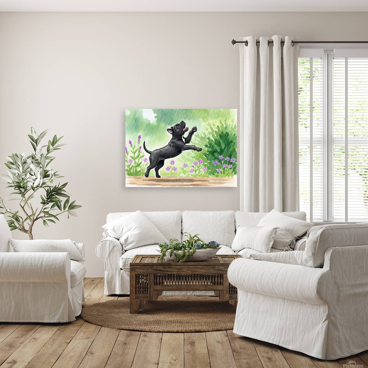 Cane Corso Puppy Discovers Rain In The Garden Reproduction