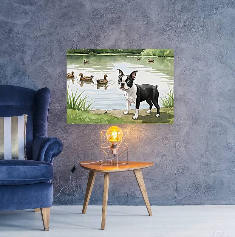 Boston Terrier Puppy Discovers A Peaceful Pond Reproduction