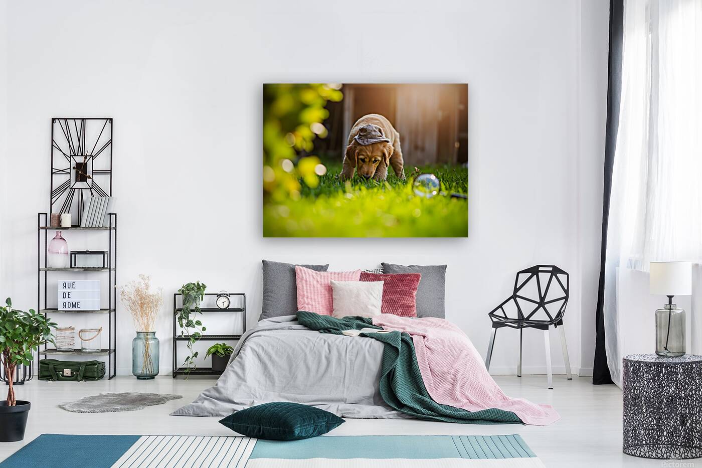 Golden Retriever Puppy Detective Begins Investigation Reproduction