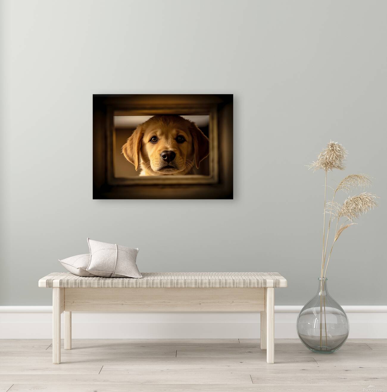 Puppy Waits For Visitors To Arrive Reproduction