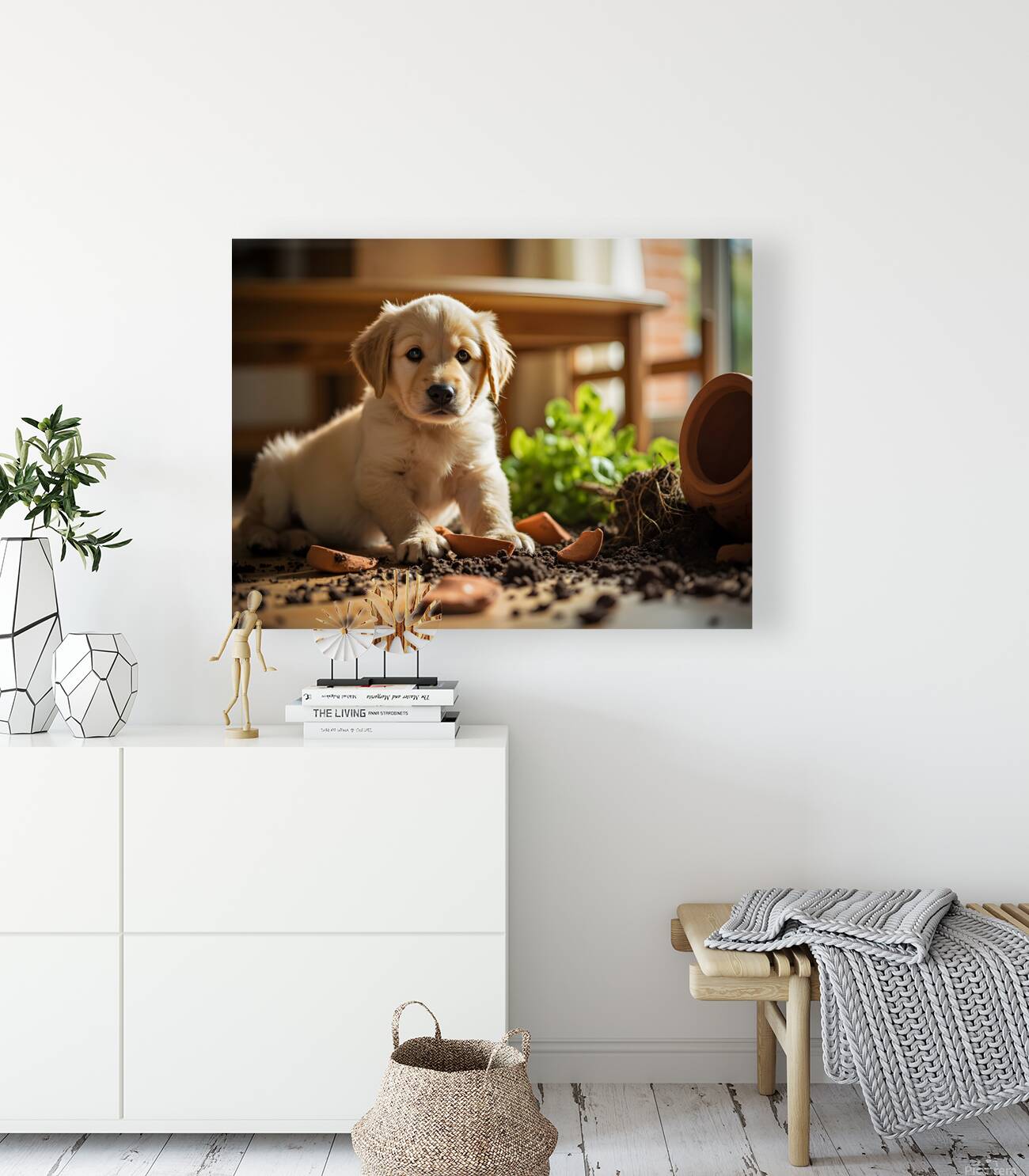 Apologetic Golden Retriever Puppy Looking Sorry Reproduction