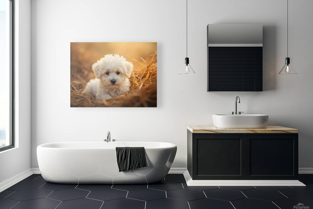 Bichon Frise Puppy Discovers Farm Haystack Adventure Reproduction