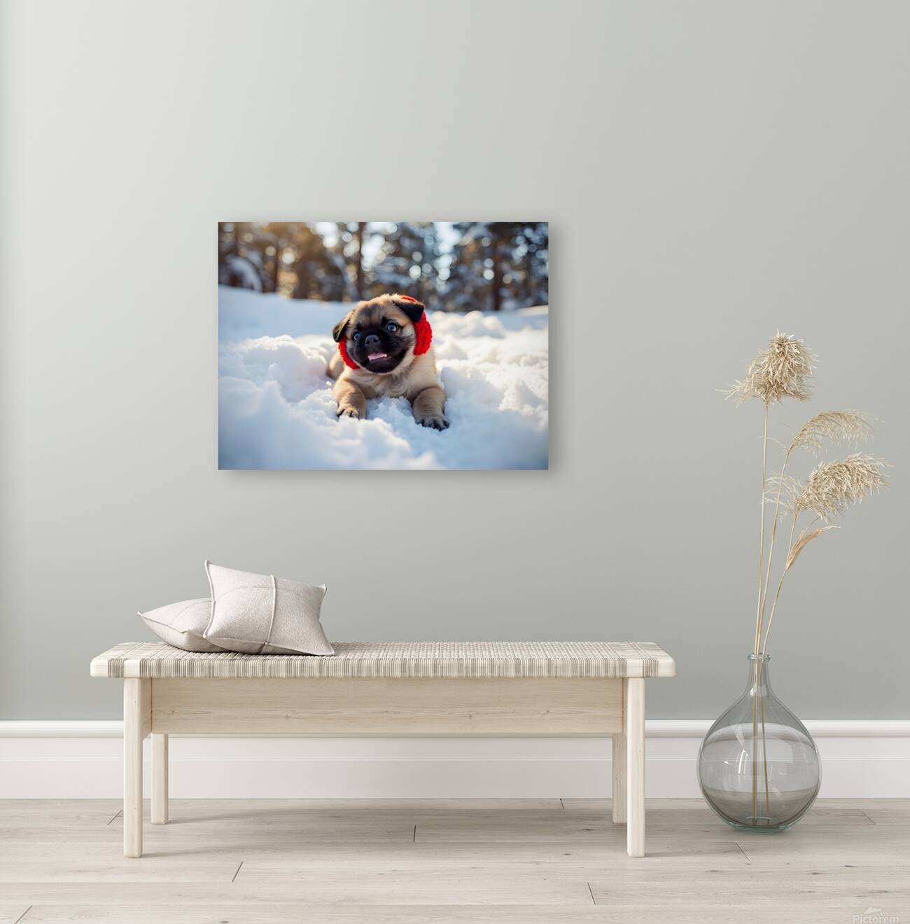 Content Pug Puppy Resting After Snow Day Adventure Reproduction