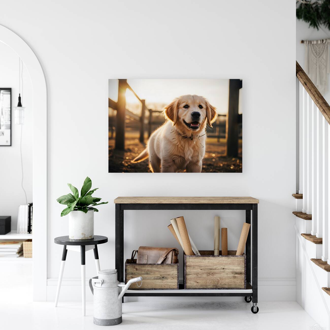 Golden Retriever Puppy Discovers Farm Haystack Adventure Reproduction
