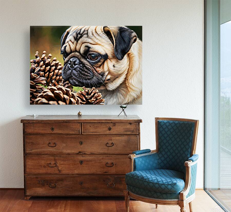 Pug Puppy Discovers Interesting Scents On Floor Reproduction