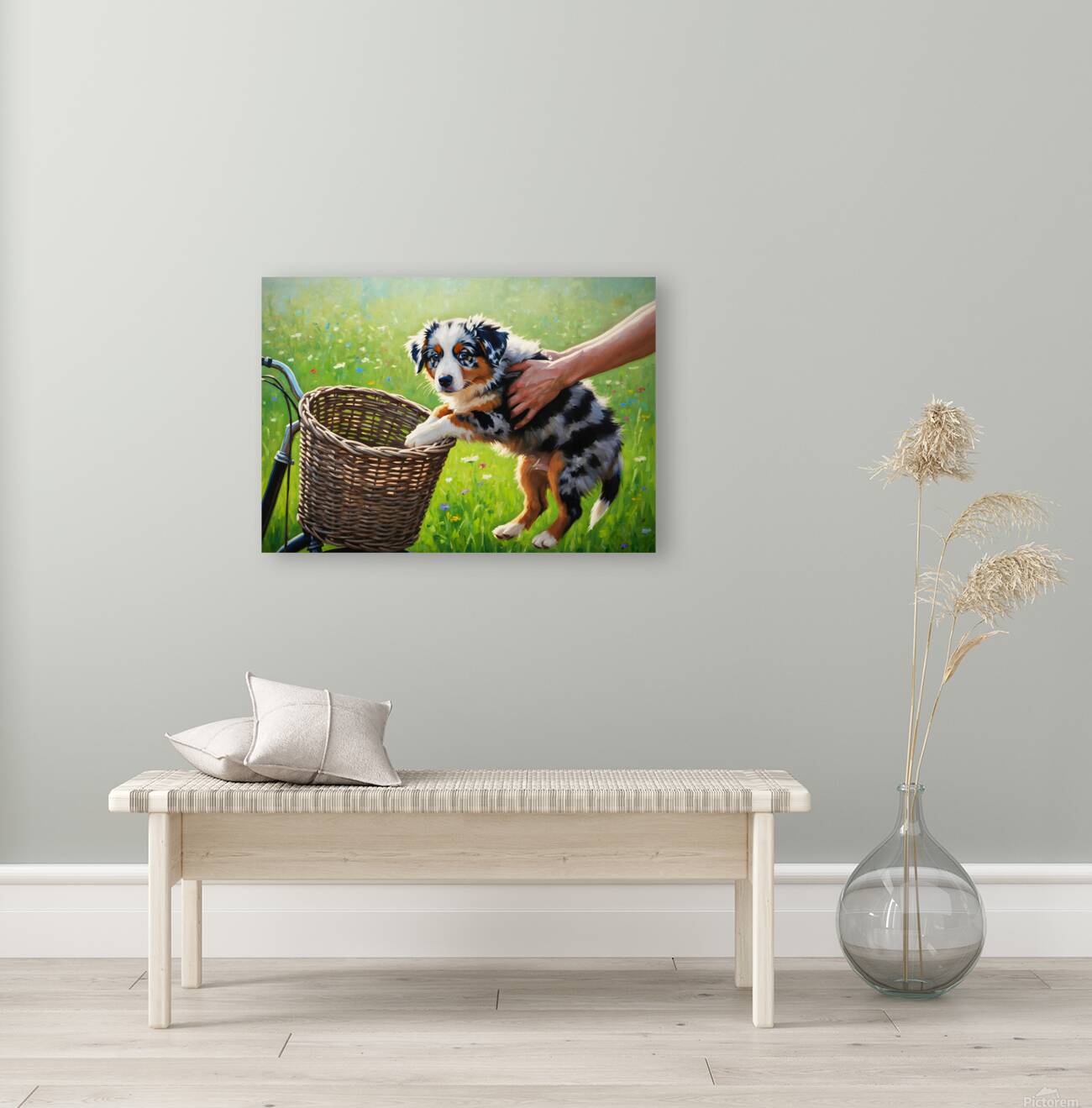 Australian Shepherd Puppy Discovers Bicycle Basket Adventure Reproduction