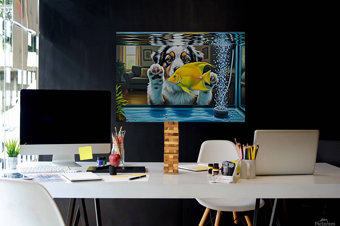 Australian Shepherd Puppy Discovers Amazing Fish Tank Reproduction