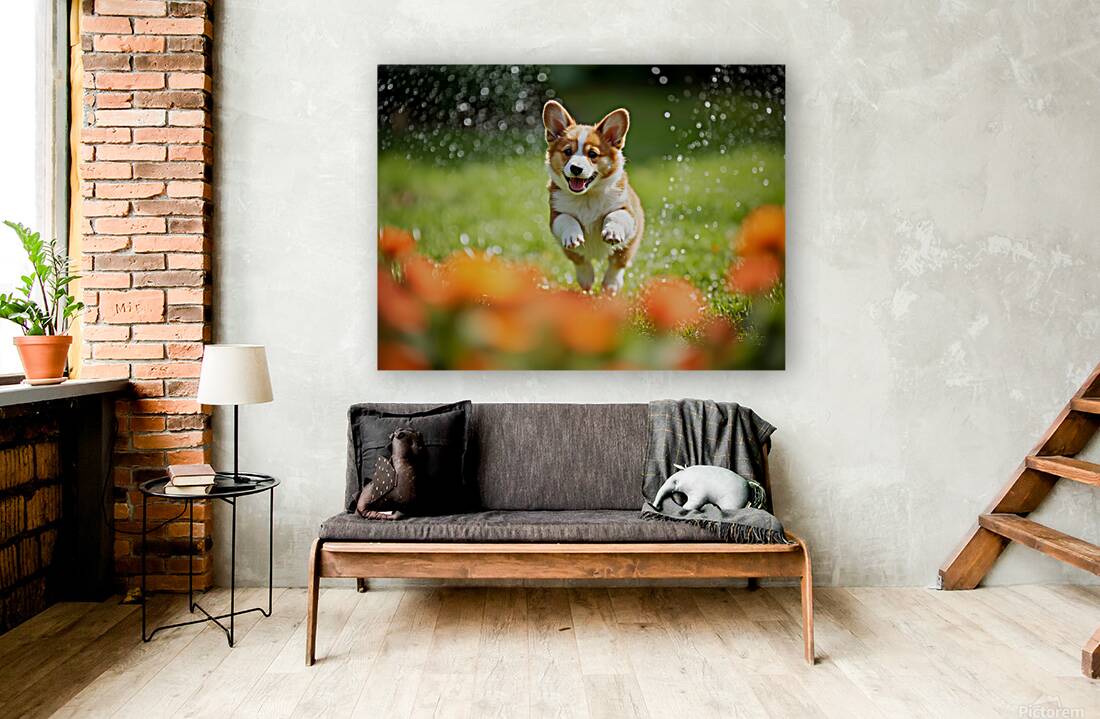 Corgi Puppy Discovers The Magical Water Fountain Reproduction