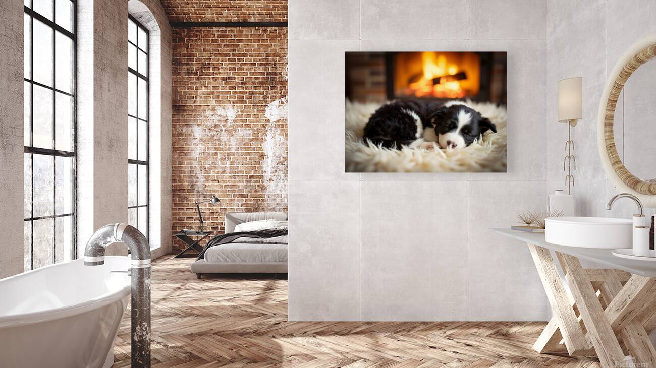 Happy Border Collie Puppy Enjoys Perfect Evening By The Fire Reproduction