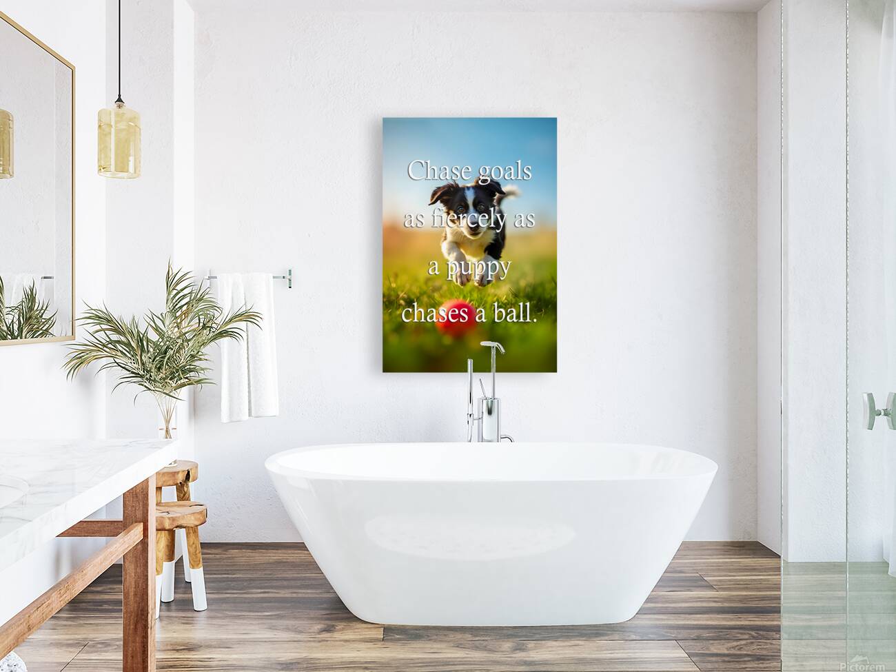 Chase Goals Like This Determined Puppy Reproduction