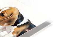 Beagle Puppy Satisfied After Drinking Water HD Metal print