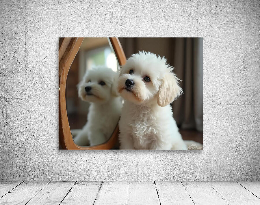 Thoughtful Bichon Frise Puppy Contemplates Its Mirror Reflection Wall Preview