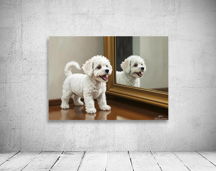 Playful White Bichon Frise Puppy Invites Mirror Reflection To Play Wall Preview
