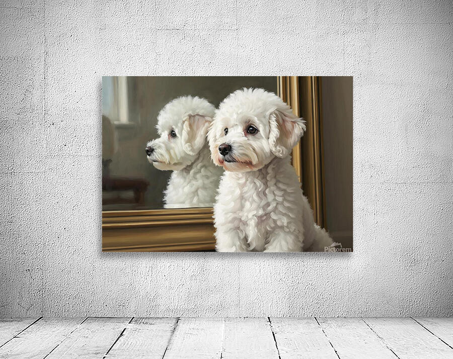 White Bichon Frise Puppy Contemplates Its Reflection Wall Preview