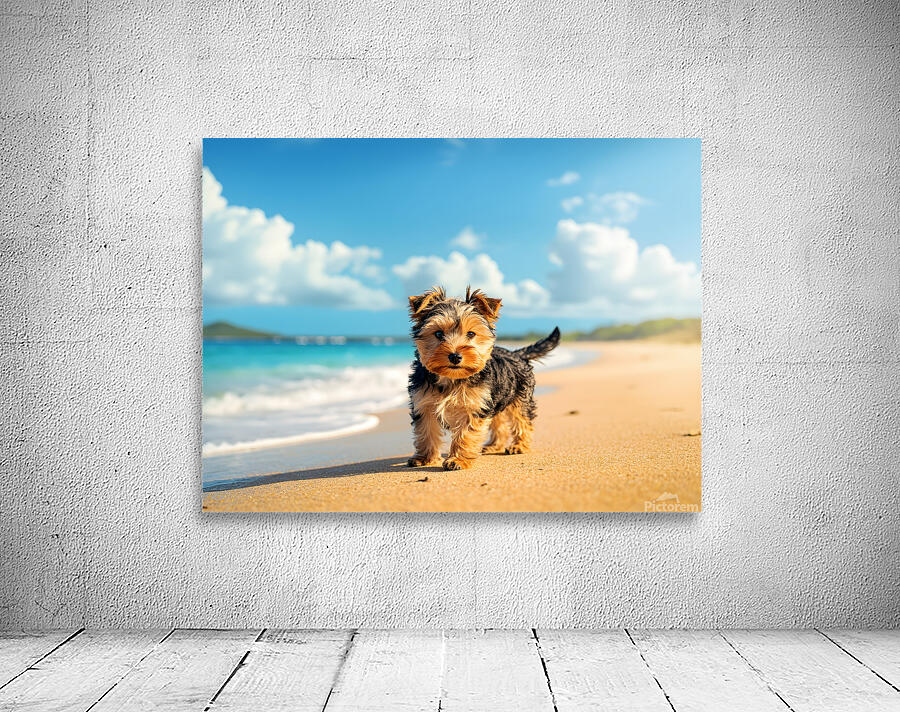 Yorkshire Terrier Puppy Discovers The Beach Wall Preview