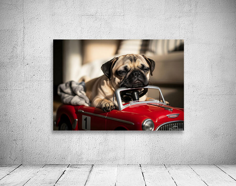 Sleepy Pug Puppy After Car Adventure Wall Preview