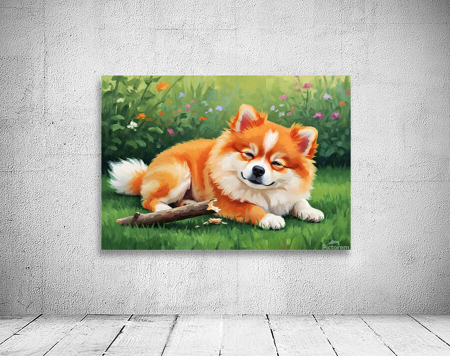 Satisfied Pomeranian Puppy After Playtime Wall Preview