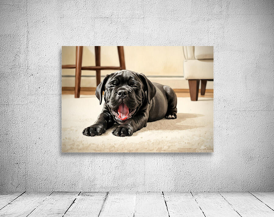 Cane Corso Puppy Stretches After Peaceful Nap Wall Preview