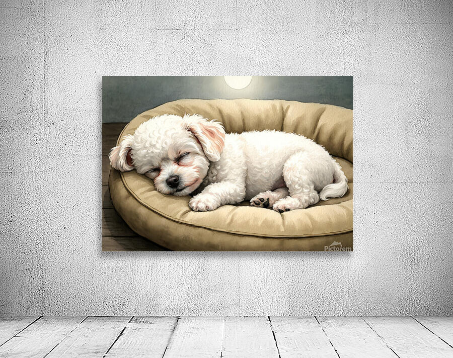 Bichon Frise Puppy Dreams Peacefully Wall Preview