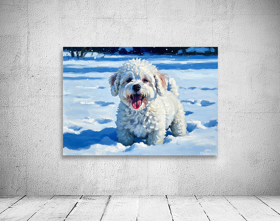 Happy Bichon Frise Puppy Rests After Snow Play Wall Preview