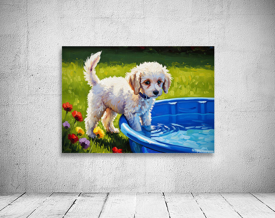 Poodle Puppy Discovers The Kiddie Pool Wall Preview