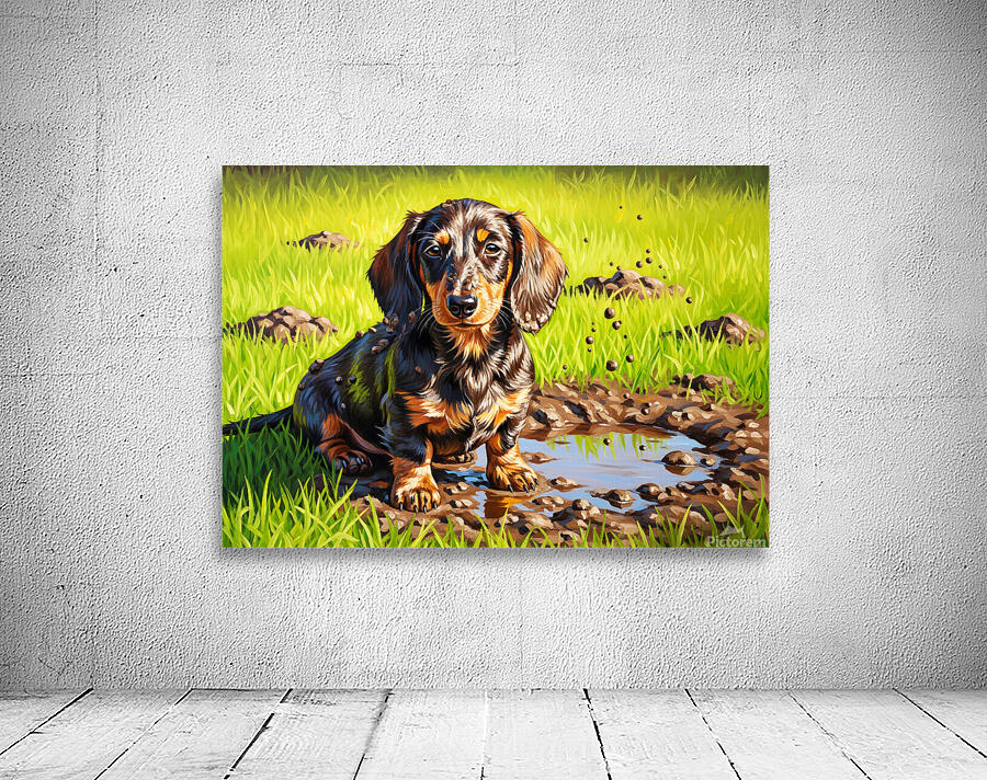 Muddy Dachshund Puppy Sits Contentedly Wall Preview