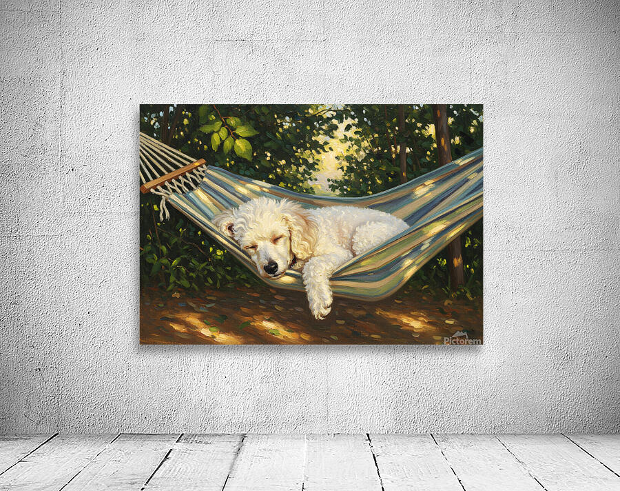 Poodle Puppy Naps In Hammock Wall Preview