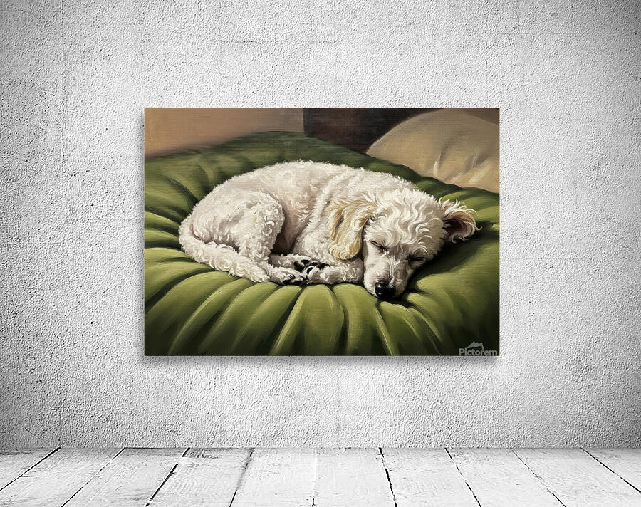 Poodle Puppy Dreams On Green Padded Bed Wall Preview