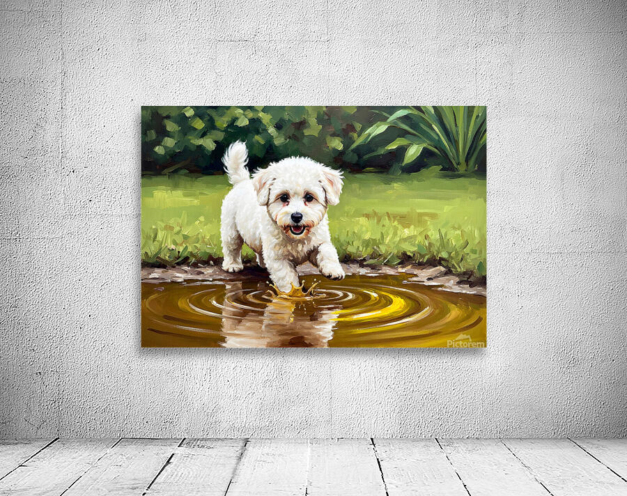 Bichon Frise Puppy Discovers Muddy Puddle Wall Preview