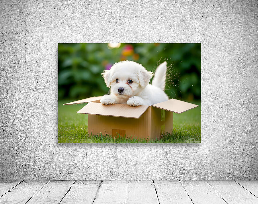 Happy Bichon Frise Puppy With Discovered Toy Treasures Wall Preview