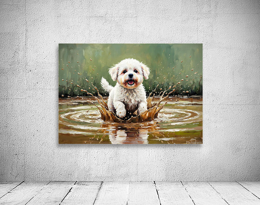 Muddy Bichon Frise Puppy After Puddle Adventure Wall Preview