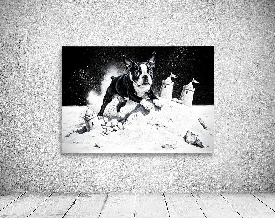 Boston Terrier Puppy Happy Despite Sandy Mess Wall Preview