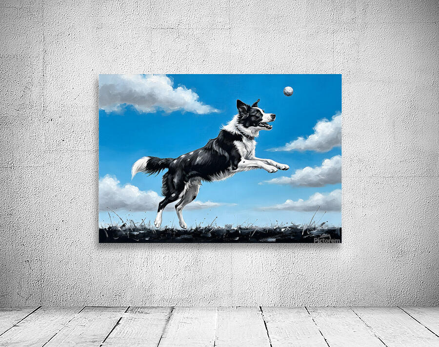Successful Border Collie Puppy With Tennis Ball Wall Preview