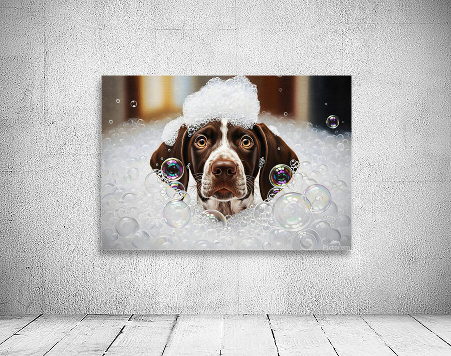German Shorthaired Pointer Puppy Shakes Off The Bubbles Wall Preview